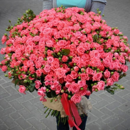 101 Кустовая Коралловая Роза (50 см.)