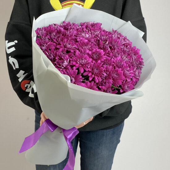11 Фиолетовых Кустовых Хризантем
