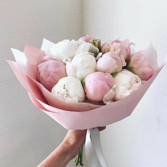 15 Розовых и Белых Пионов