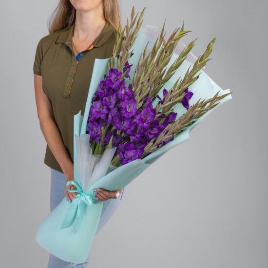 15 Фиолетовых Гладиолусов