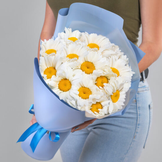 15 Крупных Ромашек