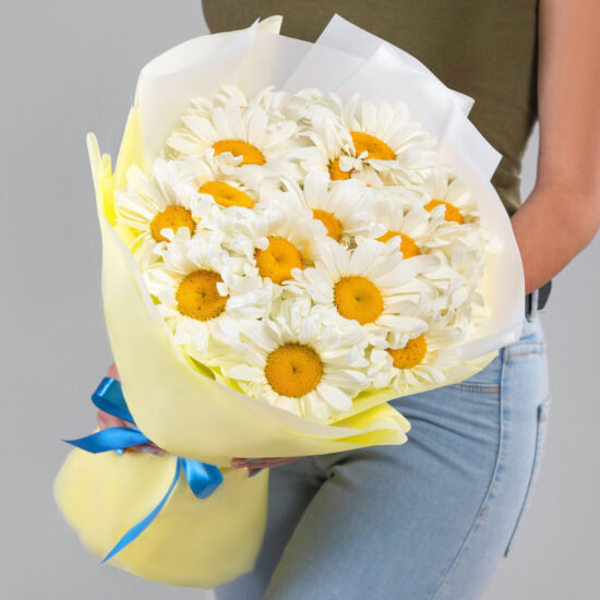 19 Крупных Ромашек