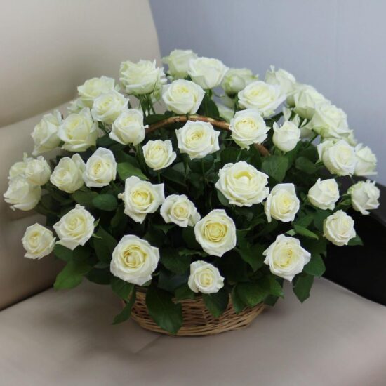 Корзина из 51 розы «Белые розы»