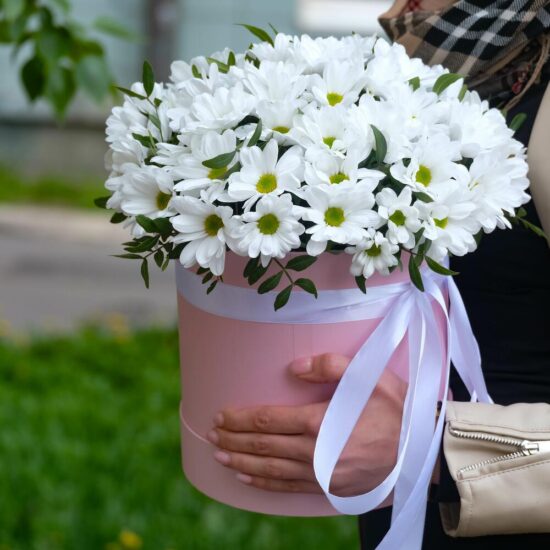 Кустовые хризантемы в шляпной коробке "Лея"